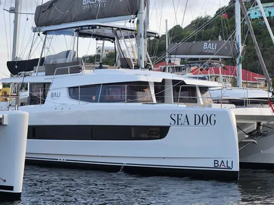 Sea Dog, Bali 4.6 sailing catamaran charter in the BVI